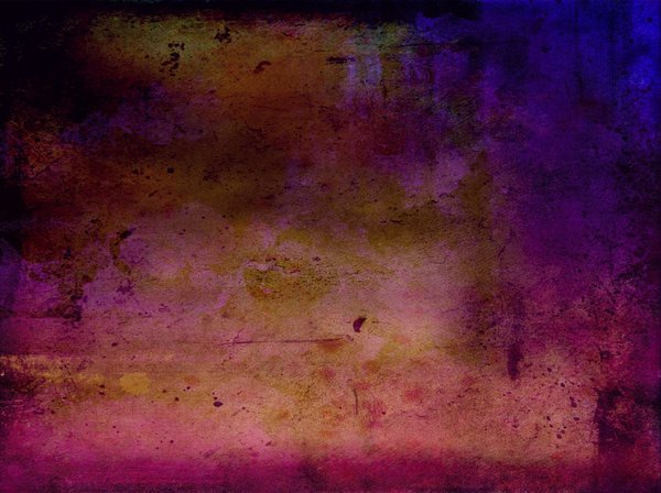 Which Plants Are Best Suited for a Shaded Balcony Garden in a High-Rise Building?